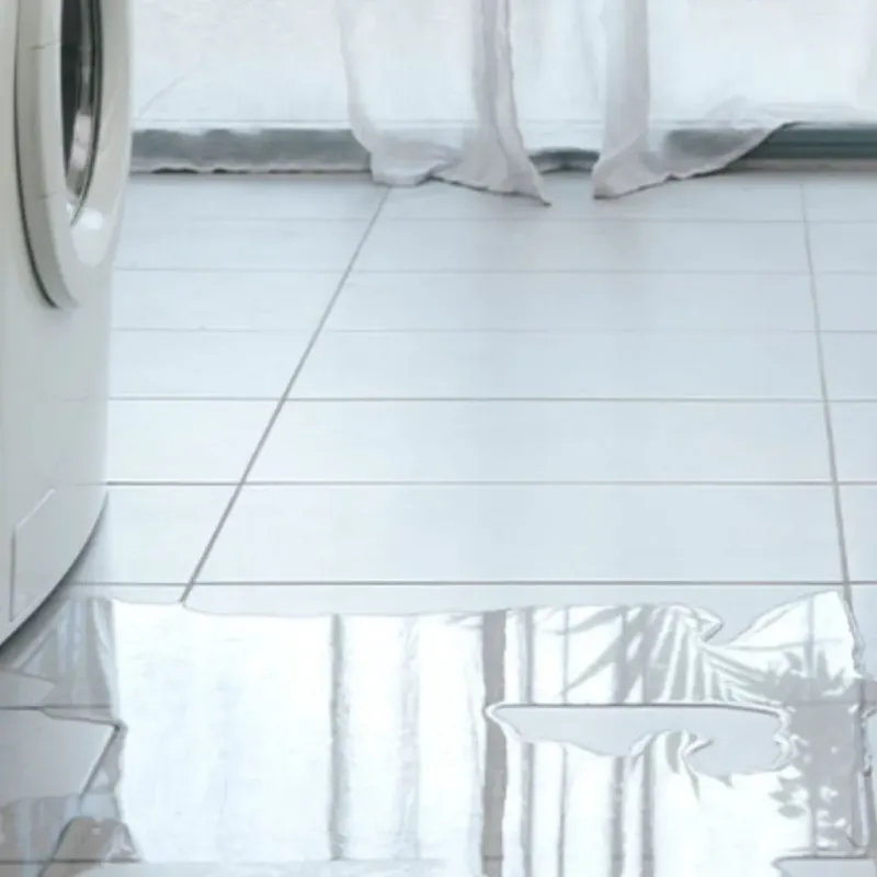 Appliance Leak Cleanup in Worthington, KY