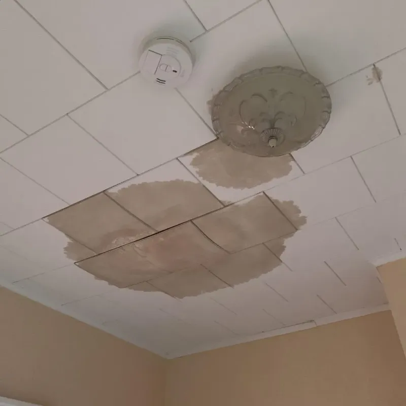 Ceiling Water Damage Repair in Worthington, KY