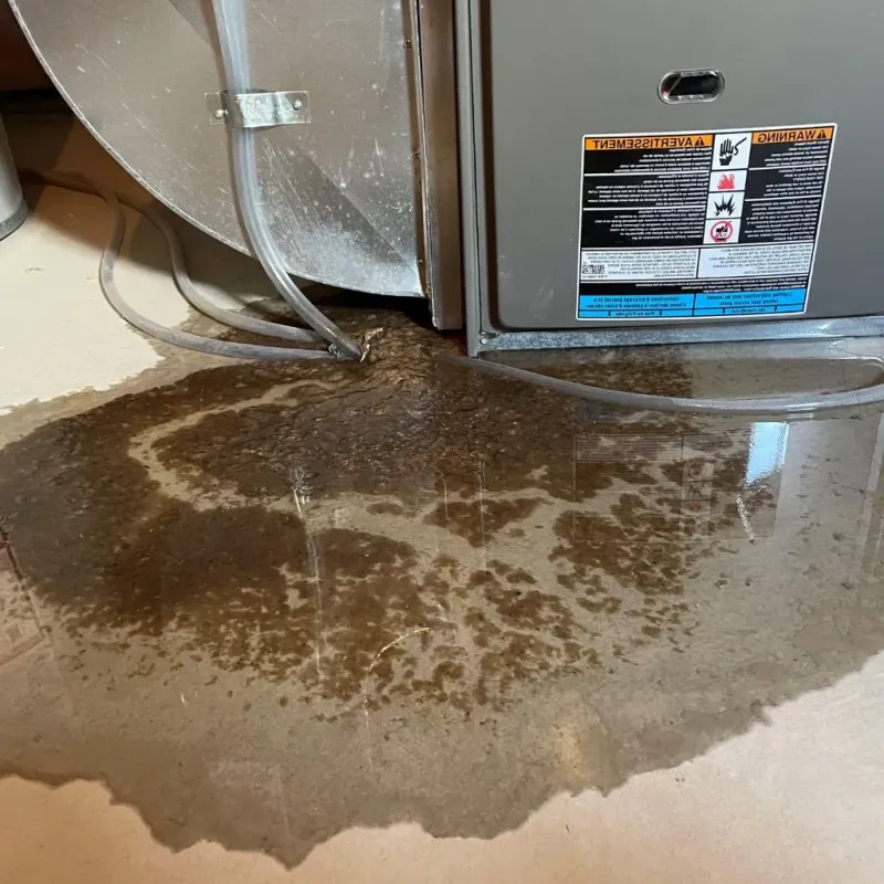 Pipe Burst and Leak Restoration in Worthington, KY