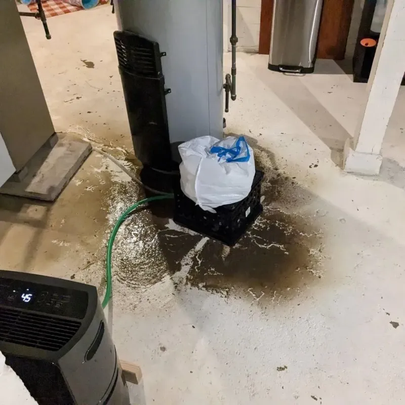 Sewage Backup Cleanup Service in Worthington, KY